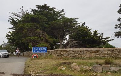 A la découverte des îles du Golfe du Morbihan !